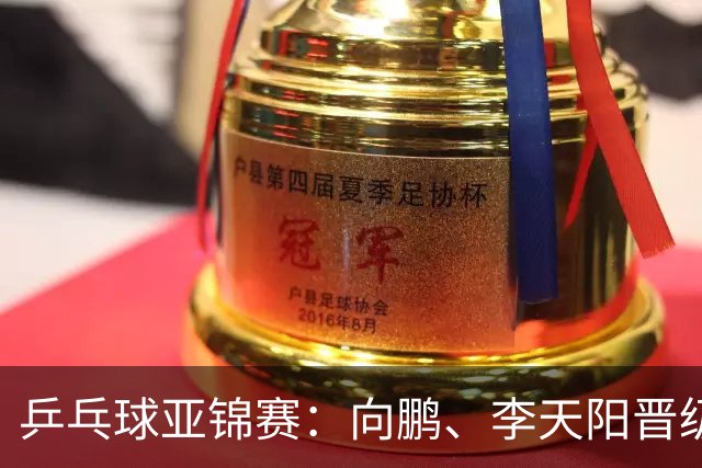 乒乓球亚锦赛：向鹏、李天阳晋级男单64强