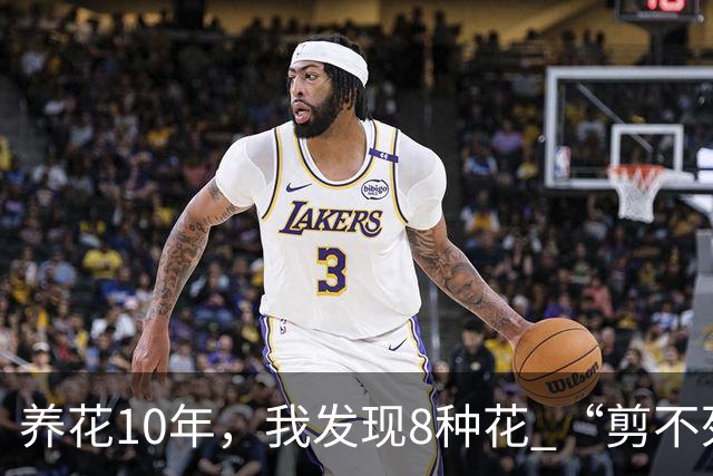 养花10年，我发现8种花 “剪不死”反而会越长越旺，比施肥都管用