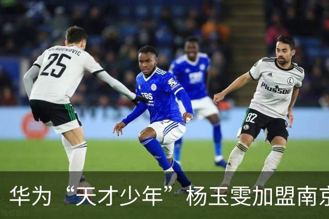 华为“天才少年”杨玉雯加盟南京大学