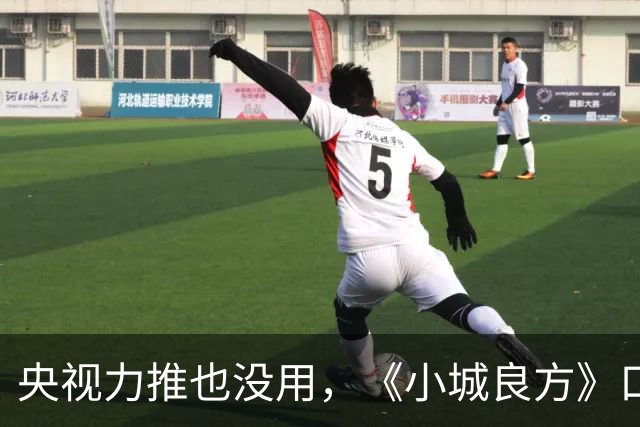 央视力推也没用，《小城良方》口碑反转，观众纷纷要求下架，为何