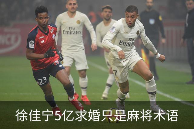 徐佳宁5亿求婚只是麻将术语