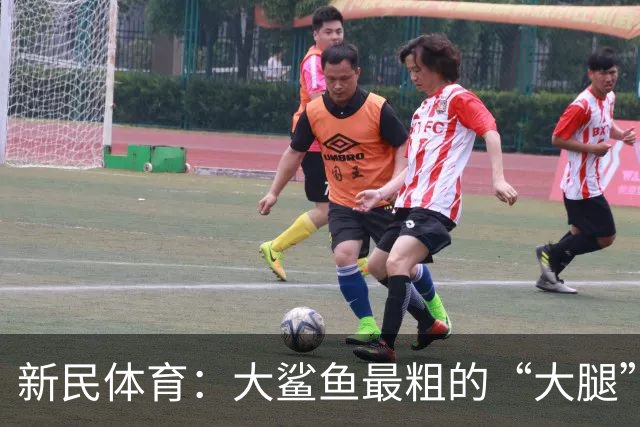 新民体育：大鲨鱼最粗的“大腿”是他？