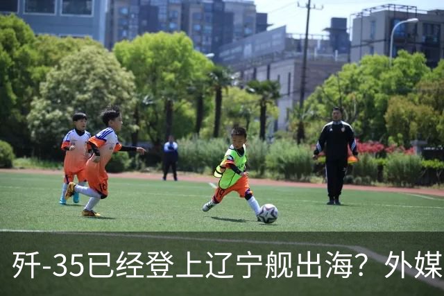 歼-35已经登上辽宁舰出海？外媒担忧：中国航母全面进入隐身时代