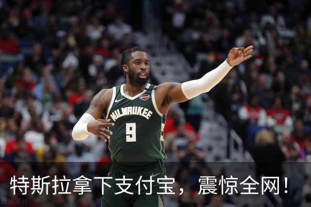 特斯拉拿下支付宝，震惊全网！