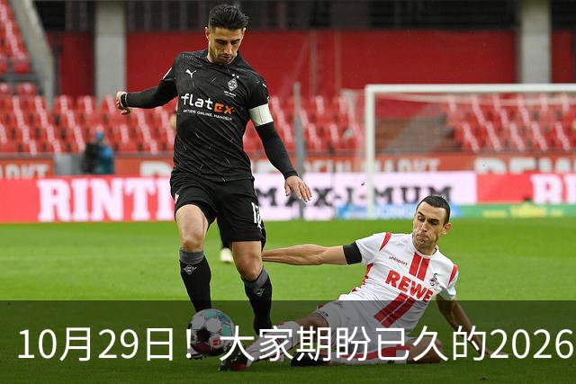 10月29日！大家期盼已久的2026退休养老金到底涨不涨一次性讲清楚